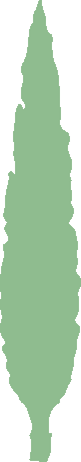 dekorace